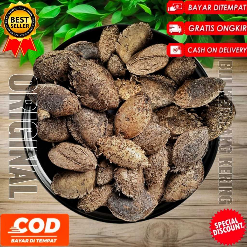 buah ketapang kering 7 kg