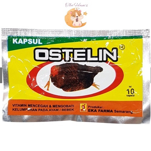 (The Ham's) OSTELIN 10 KAPSUL - Cegah & Obati Kelumpuhan Pada Ayam Bebek - Obat Ayam Lumpuh Ampuh - 