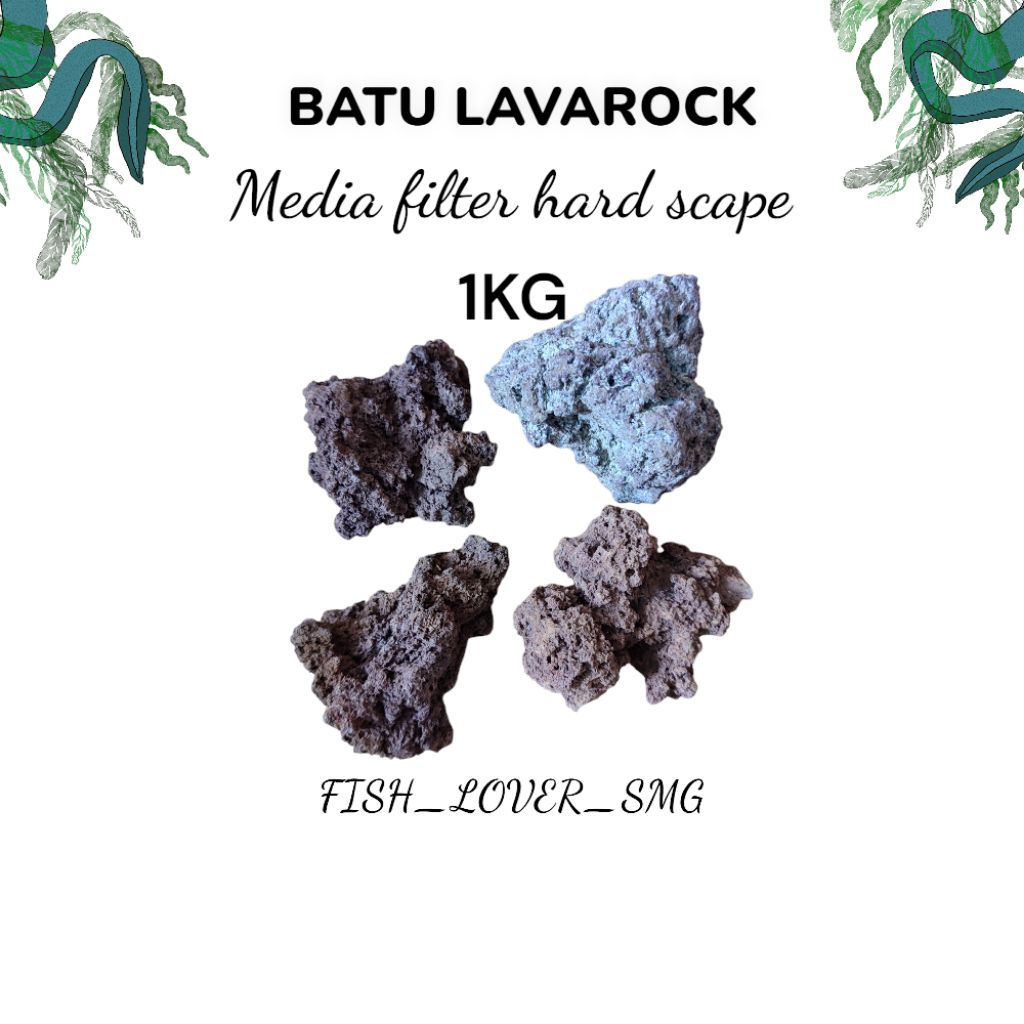 Batu Lavarock filter air 1kg / media filter hard scape desain aquascape air terjun