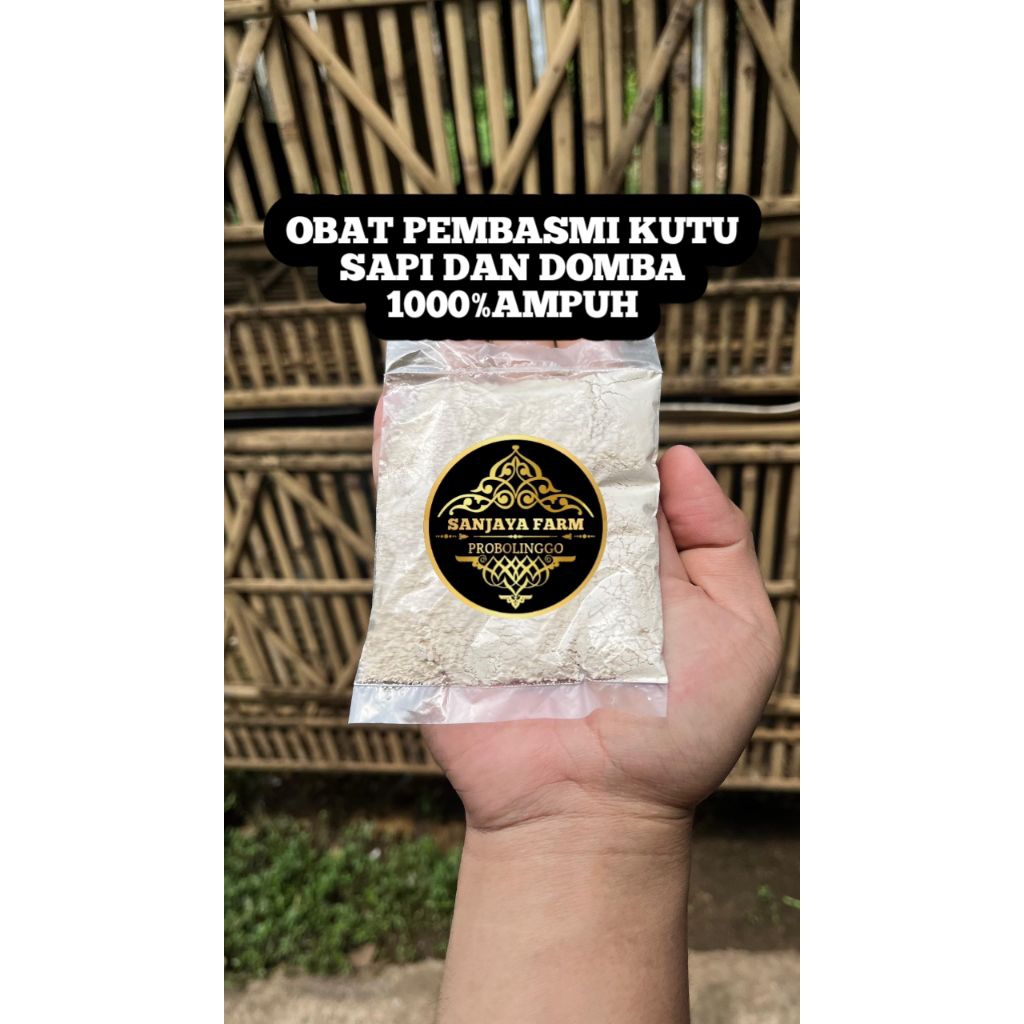 obat pembasmi kutu sapi/domba
