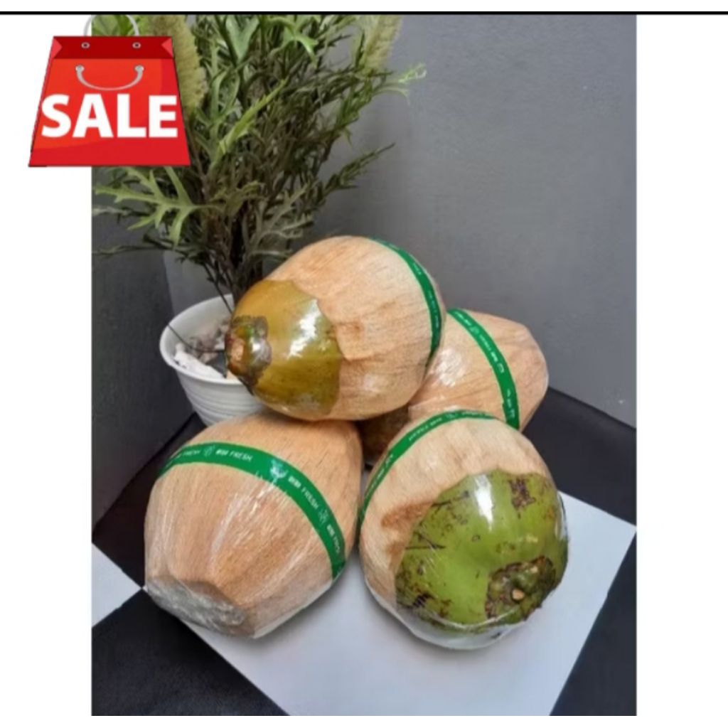 TERMURAH klapa kopyor uk super 41-43 cm 100% asli kopyor petani jawa tengah