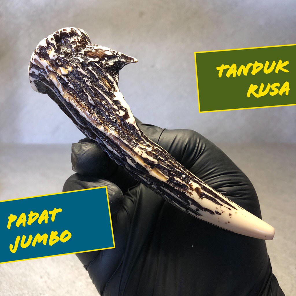 Pipa Rokok Tanduk Rusa Jumbo Replika Tulang