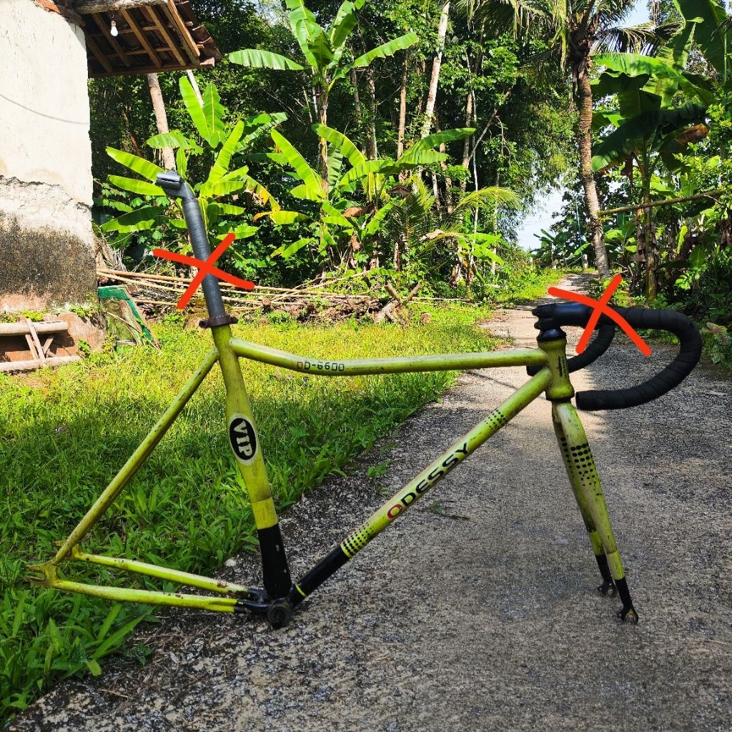 Frameset fixie Odessy VIP Original