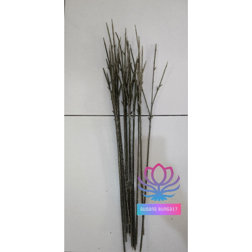 GB17 - 1Lusin Tangkai Bunga 3x Panjang 50cm