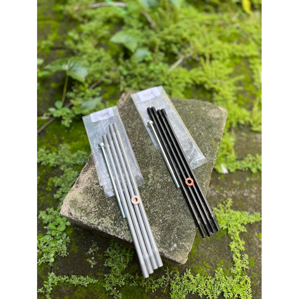 BAUT SUNDUK TIGER IMPOR PNP CB GL MP TIGER BAUT ANCER TIGER IMPOR CB GL MP TIGER