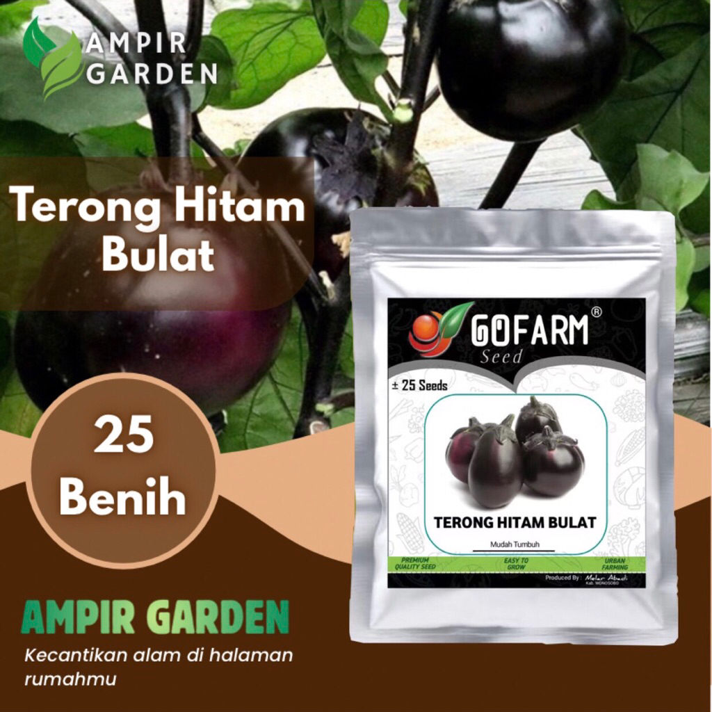 Benih TERONG HITAM BULAT Kemasan Premium GOFARM / Biji Tanaman Terong Hitam Berkualitas