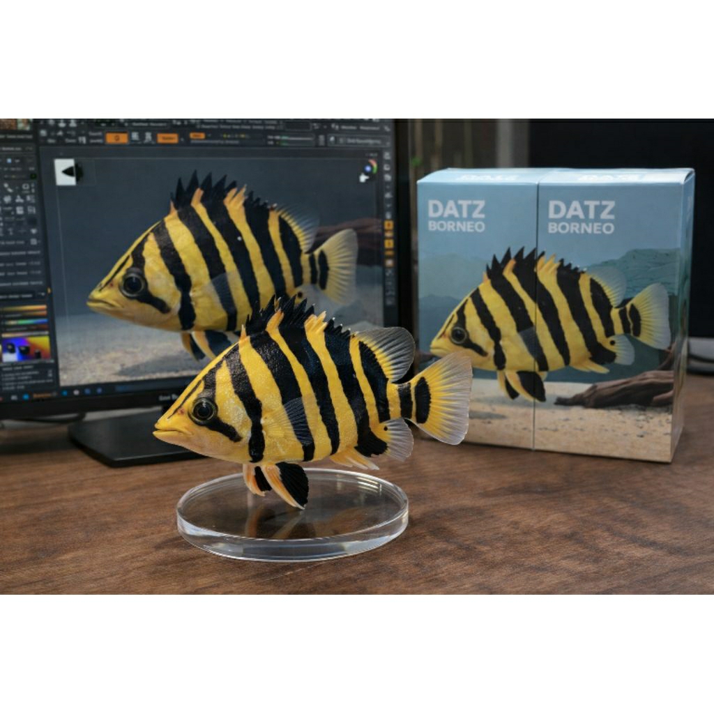 ACTION FIGURE DATZ BORNEO 4 BAR