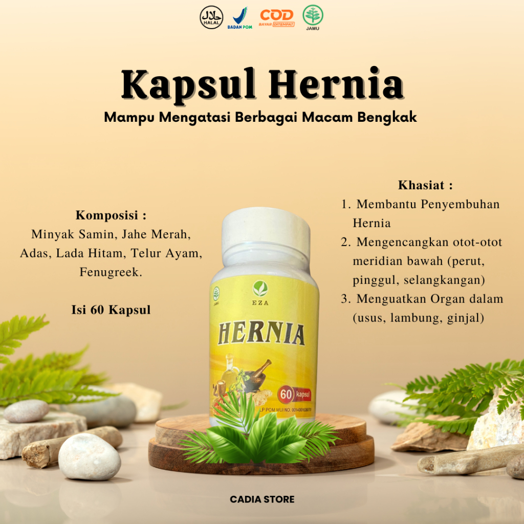 Terlaris HERNIA KAPSUL Obat Hernia Turun Berok Tedun BPOM ASLI Paling Ampuh Herbal Hernia Alami Orig