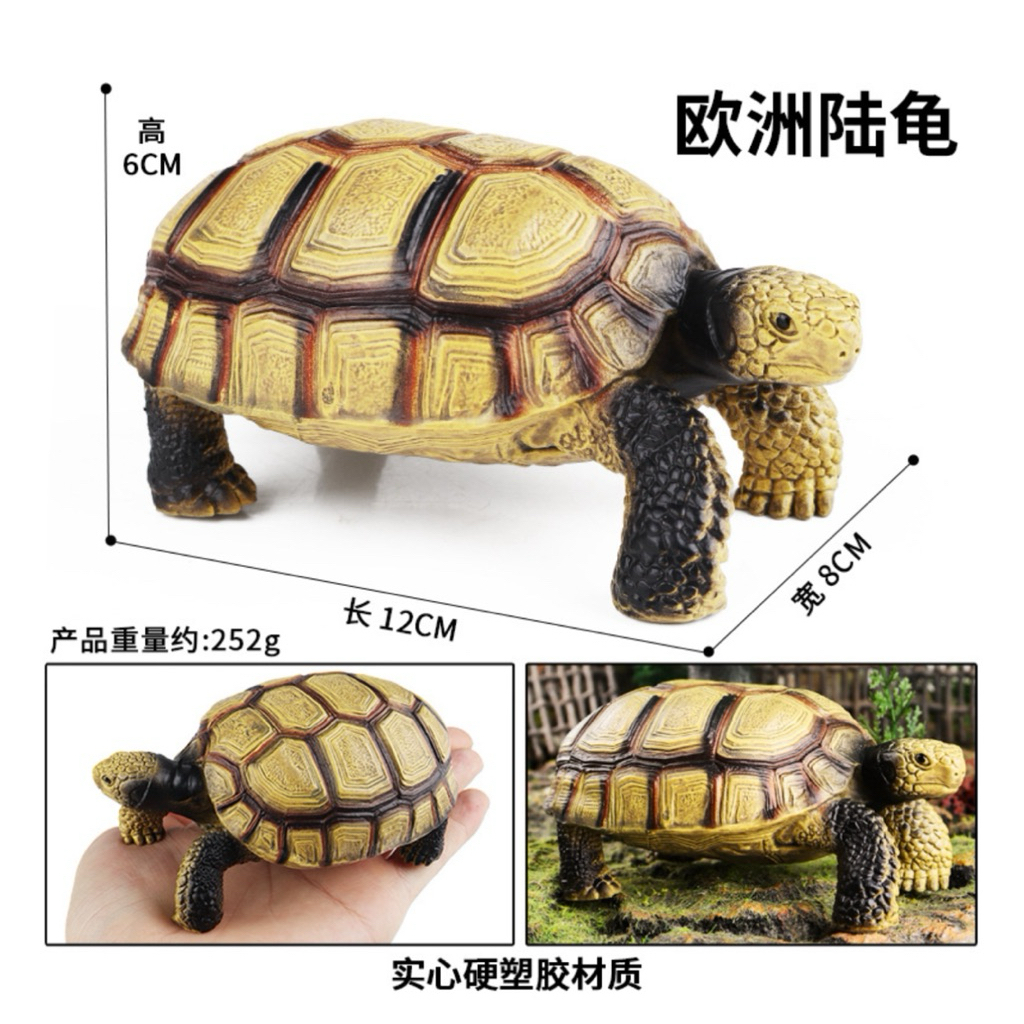 Kura kura mainan simulasi kura-kura pajangan sukata Labi-labi Bulus tortoise - koleksi miniatur aqua