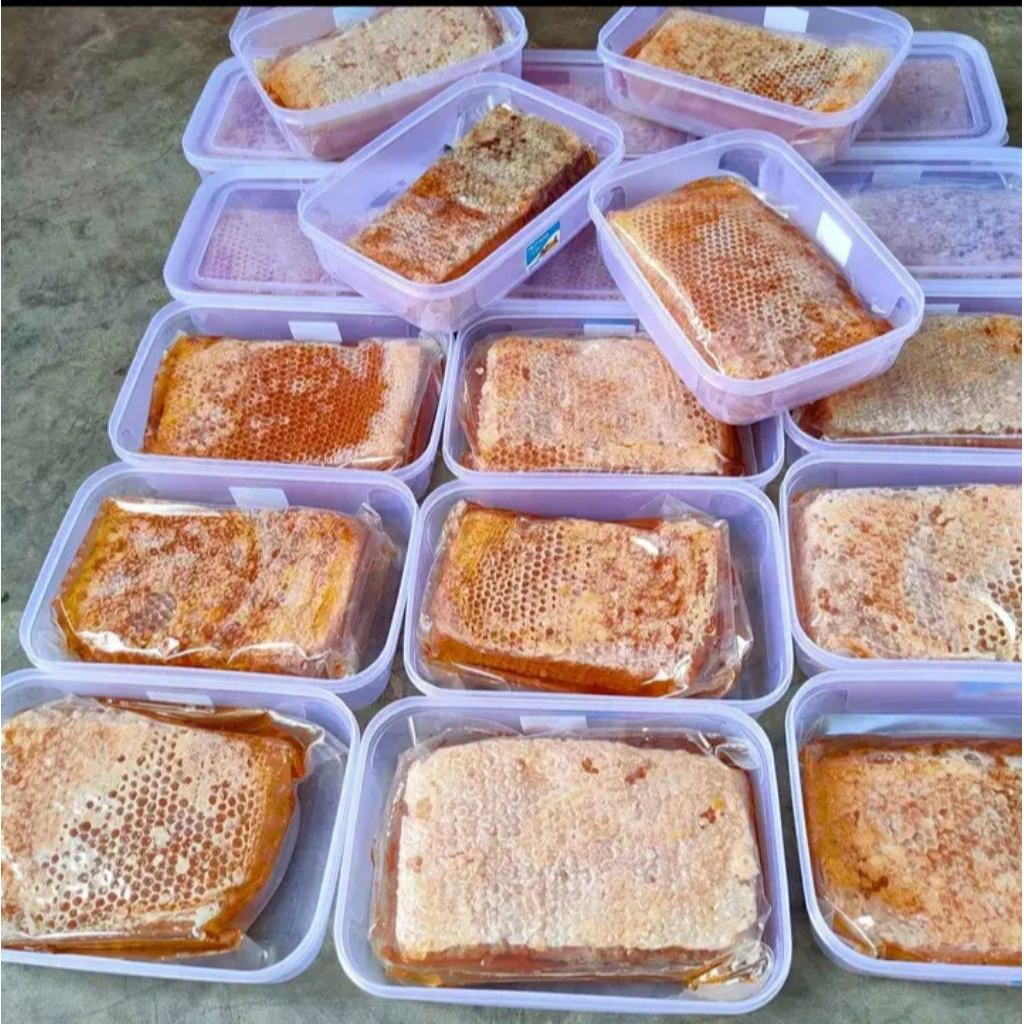 Madu sarang lebah larva tawon asli Kemasan 100grm