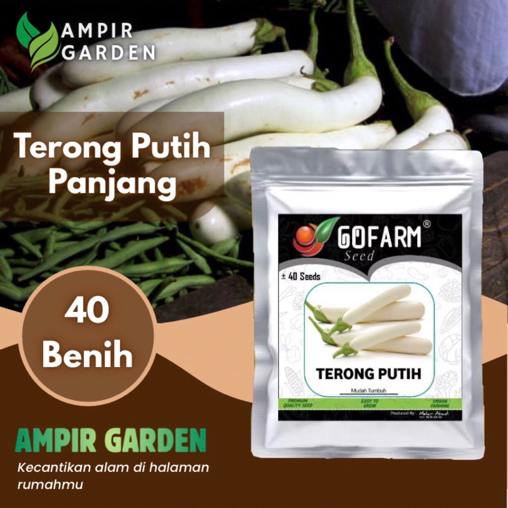 Benih TERONG PUTIH Kemasan Premium GOFARM / Biji Tanaman Sayuran Terong Putih Panjang