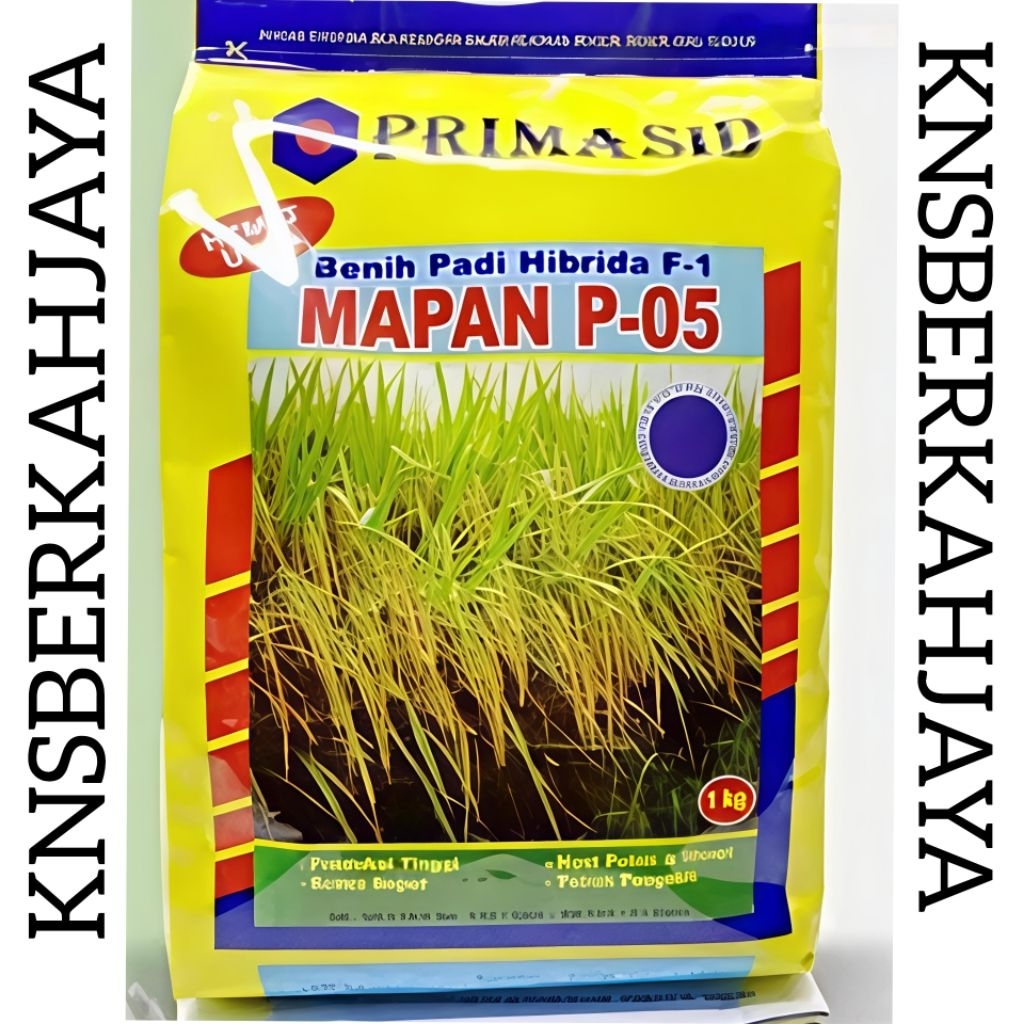 Benih bibit padi Hibrida F-1 Mapan P-05 Kem pabrik 1kg Exp.04-05-26