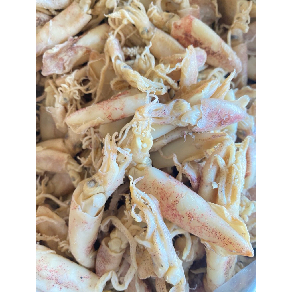 Baby Cumi Asin Kering Asli Pantura