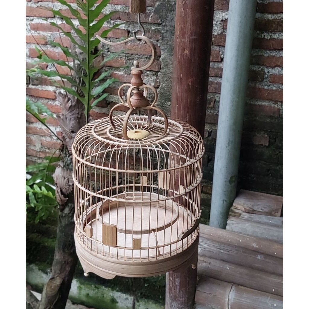 Sangkar Cungkok Burcil Mentah Halusan Dm 24