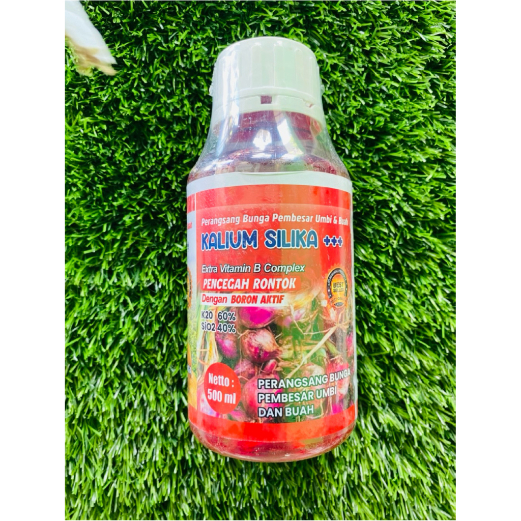 PUPUK KALIUM SILIKA ++ 500ml ORIGINAL || pupuk pembesar buah terlengkap berkualitas original maju ja