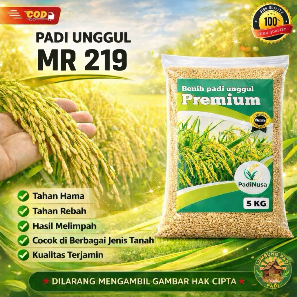 Benih padi unggul MR 219 bibit padi unggul premium 1-5 KG benih padi nusapadi