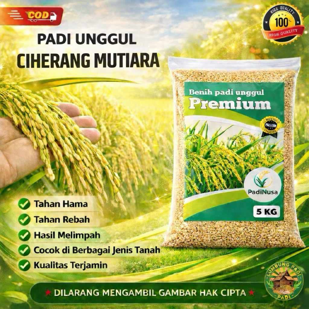 Benih padi CIHERANG MUTIARA benih padi unggul premium bibit padi 1-5KG padinusa