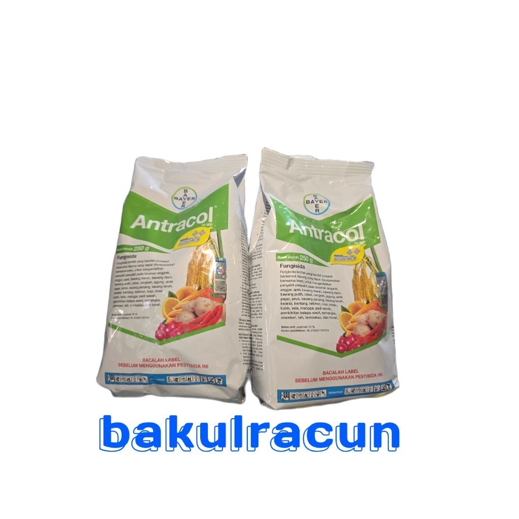 FUNGISIDA KONTAK ANTRACOL