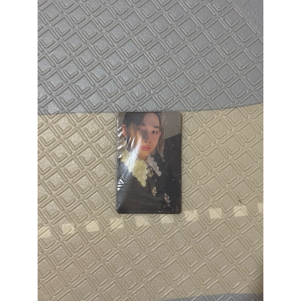 PHOTOCARD NIKI DILEMMA ENHYPEN