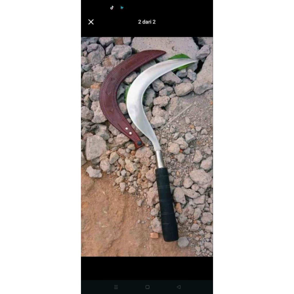 arit rumput asli produk madura