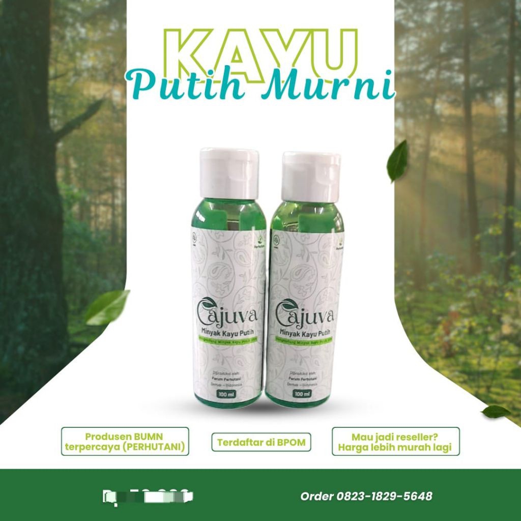 Kayu Putih Murni