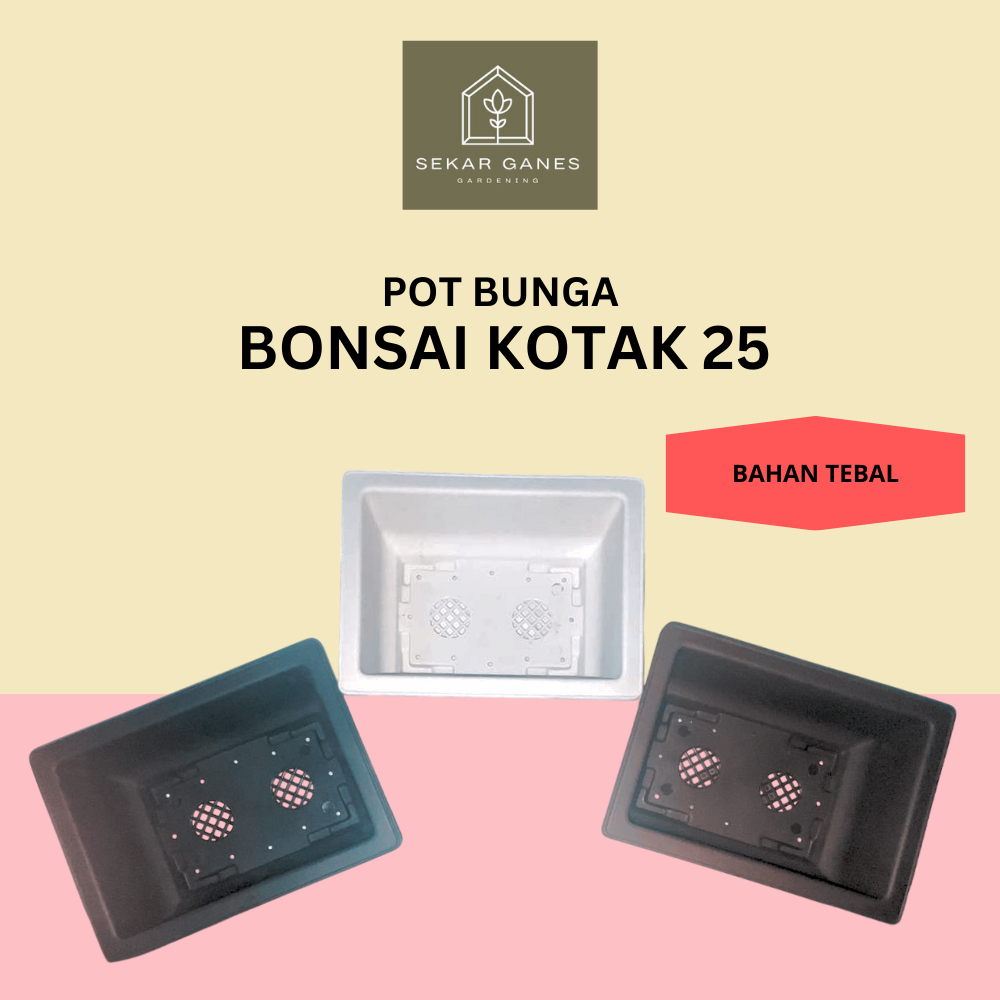 SG Pot Bonsai Kotak 25 Hitam Coklat Putih Pot Plastik Persegi Panjang NKT Pot Bunga Tanaman Bonsai 2