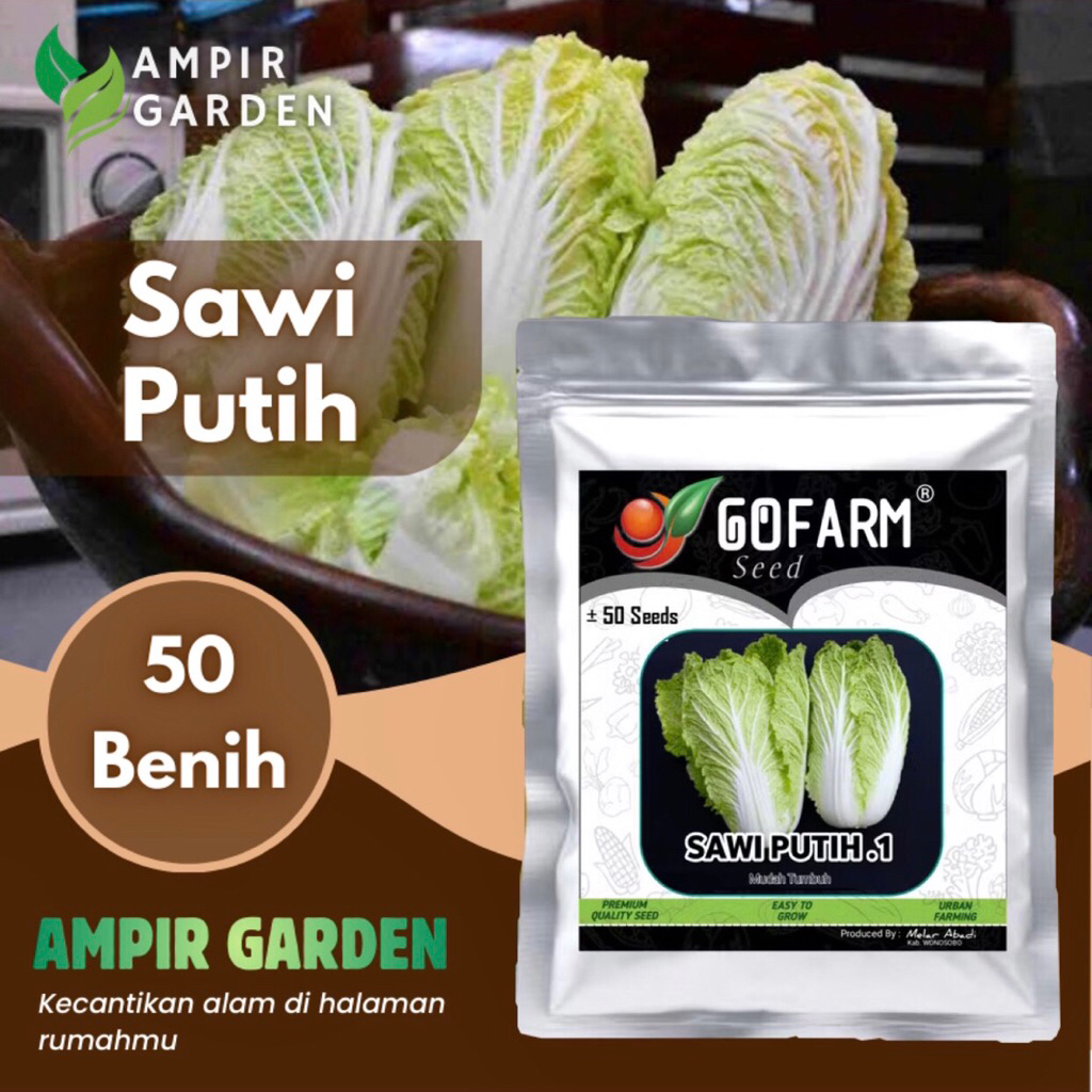 Benih SAWI PUTIH Kemasan Premium GOFARM / Tanaman Sayuran Sawi Putih Slobor