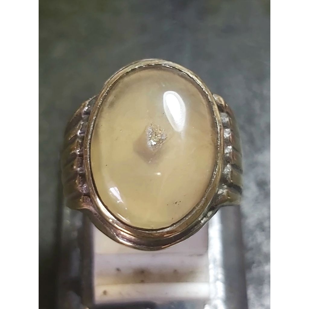 Anggur Combong Serambut