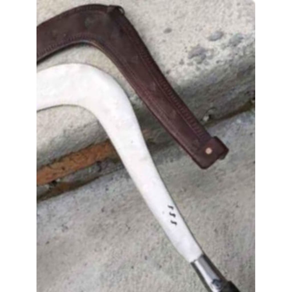 arit rumput asli dari Madura