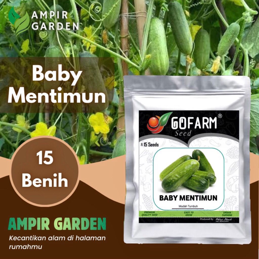 Benih BABY MENTIMUN Kemasan Premium GOFARM / Biji Sayuran Timun Mini / Timun Bayi
