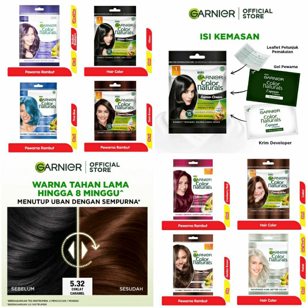 Garnier Pewarna Rambut Sachet