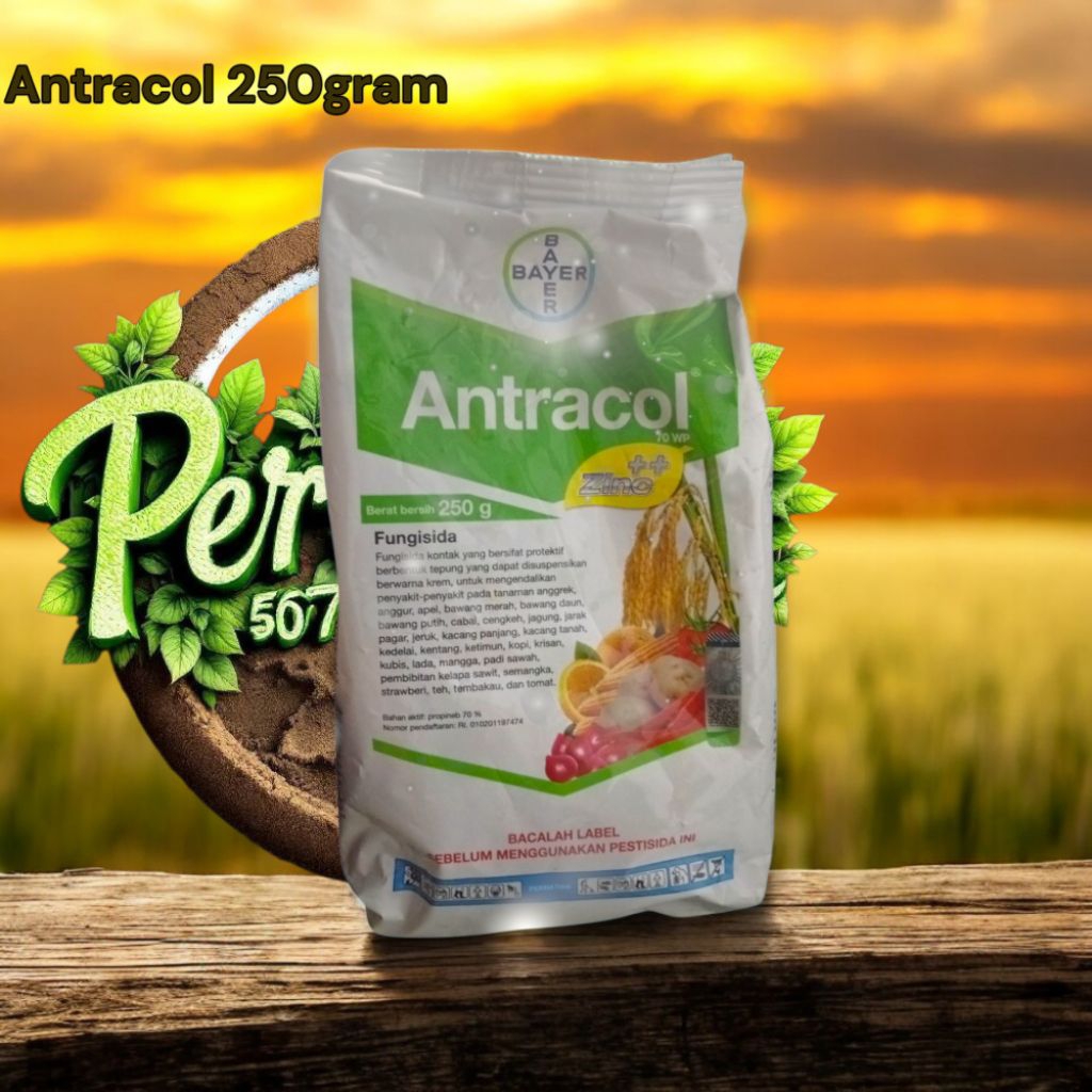 Antracol fungisida 250gram