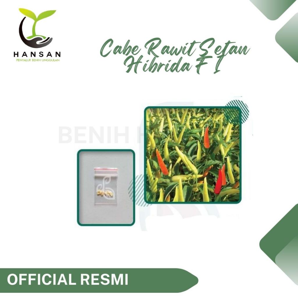 10 Bibit Cabe Rawit Setan Hibrida F1 Lentera Benih Cabai Rawit Merah