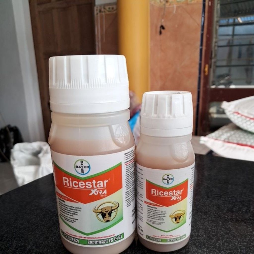 Ricestar Xtra
