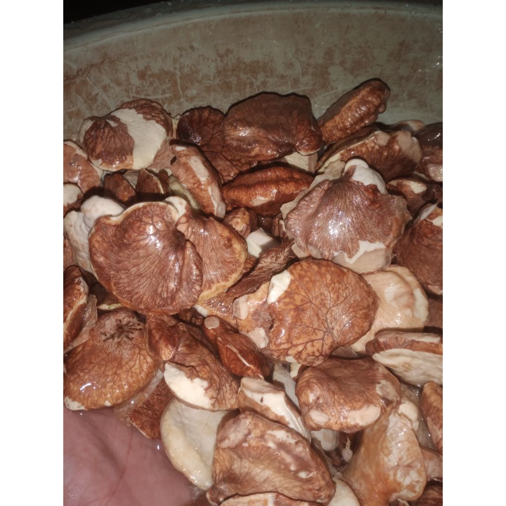 gayam.mentah.pasuruan