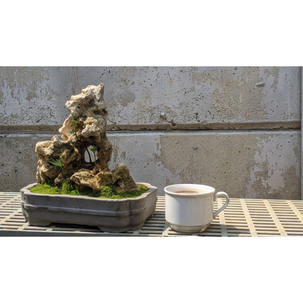 lohansung mikro dan karang gunung