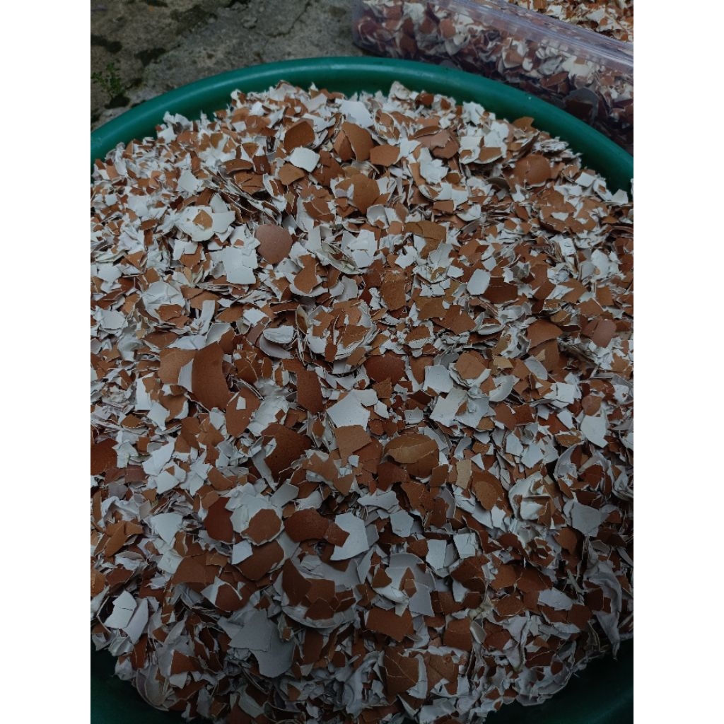 cangkang telur halus berat 1 kg ,untuk pupuk organik & pakan ternak