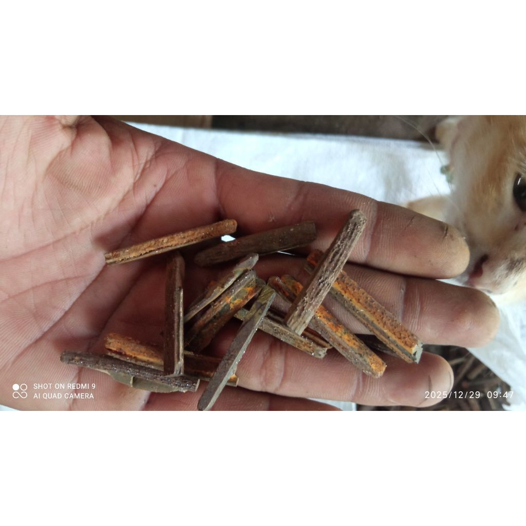 SEGMEN SEGMENT LIDI MATA BOR SUMUR TEMBUS BATU