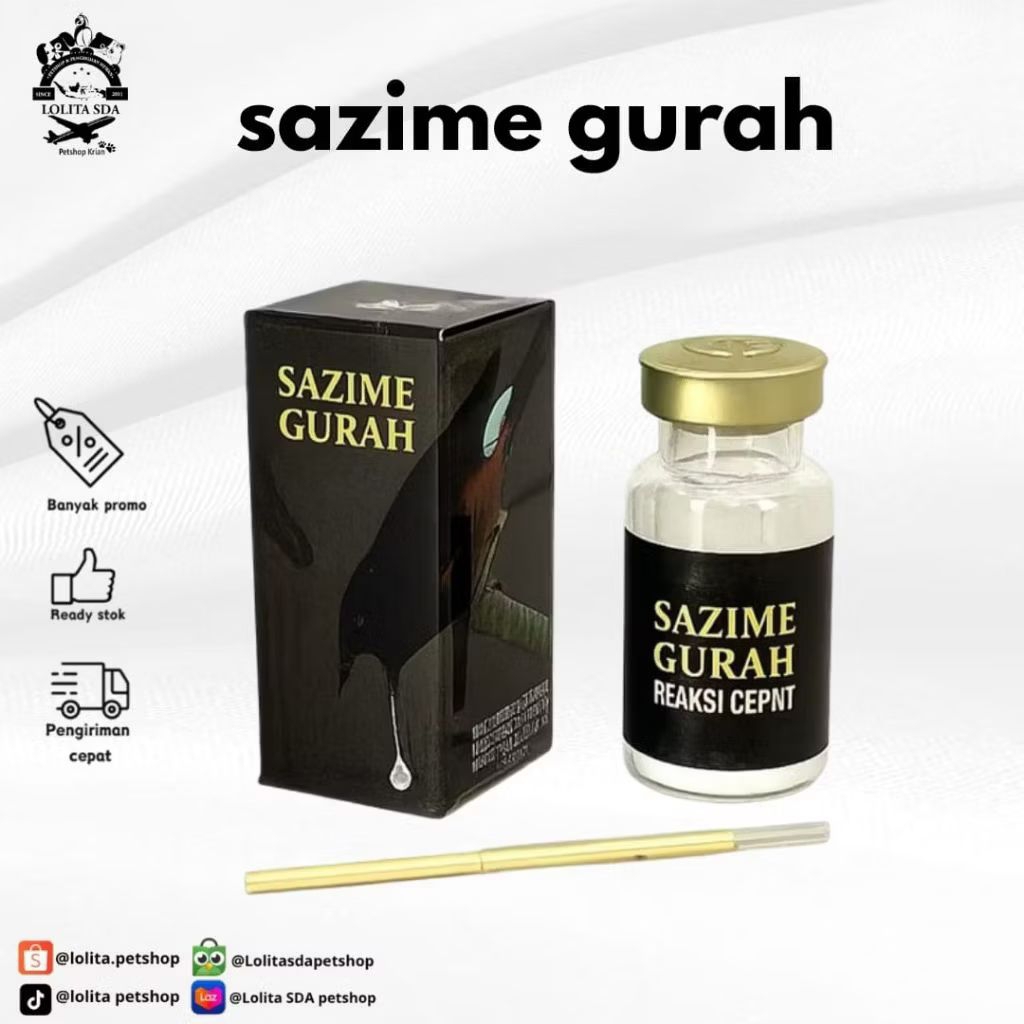 sazime gurah reaksi cepat burung berkicau