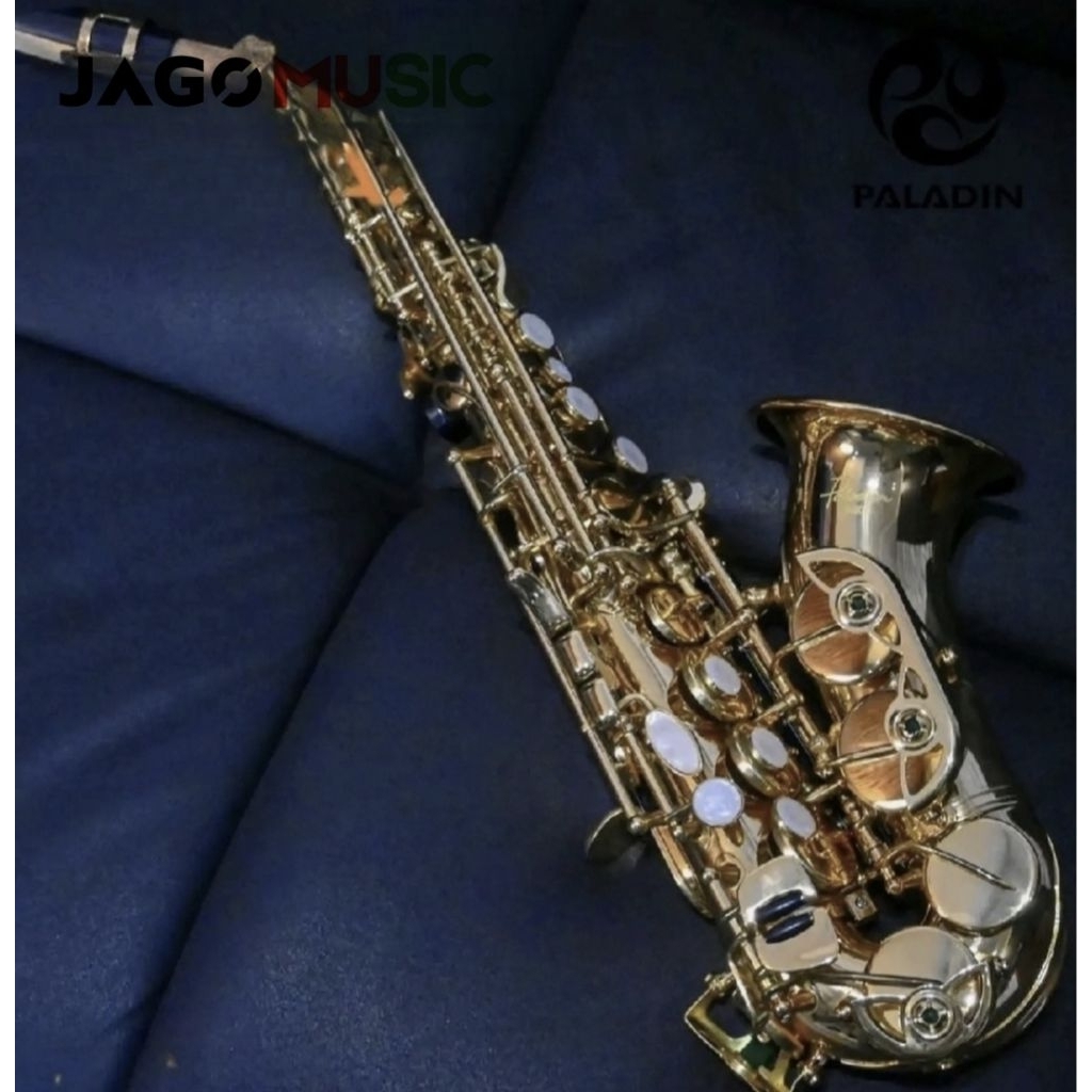 Saxophone Paladin JAS800 Saxo Alto Paladin JAS 800 Lengkap