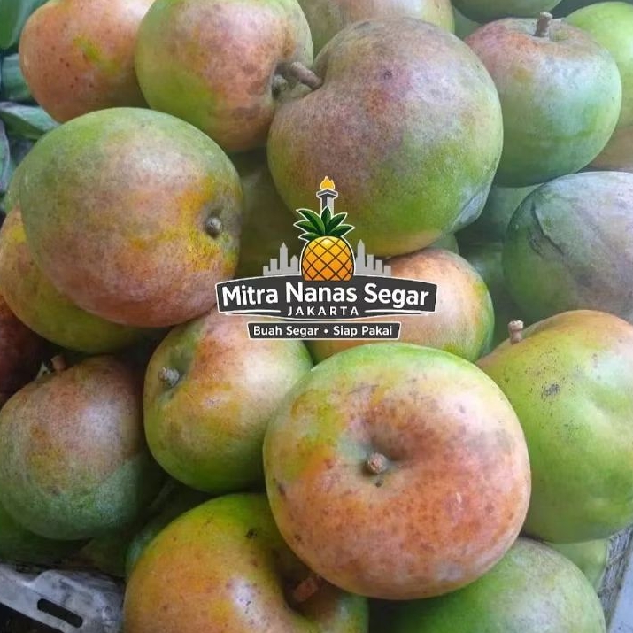 Mangga Apel Muda/Mengkal 1Kg Fresh