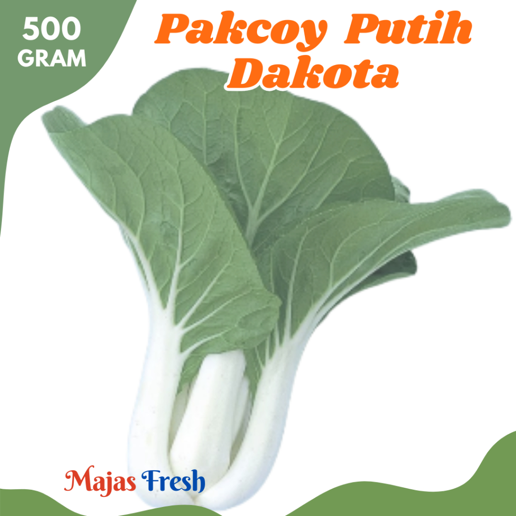 SAWI PAKCOY PUTIH Segar - Sayur Sawi Jepang / Sawi Dakota Batang Putih Lokal Fresh | 500gr [ Harga P