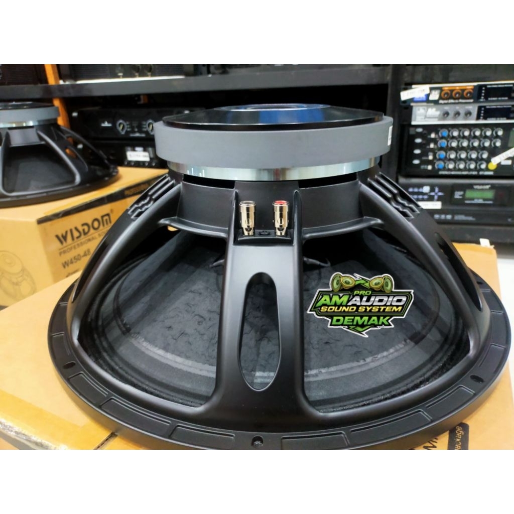Speaker 18inch Wisdom W450-48