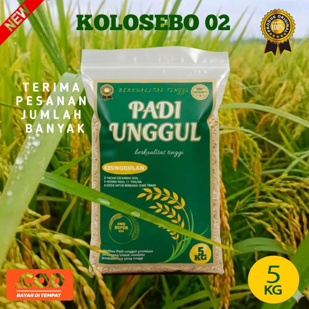 BENIH PADI KOLOSEBO 02 5kg BIBIT PADI KOLOSEBO 02 ORIGINAL SUPER PREMIUM
