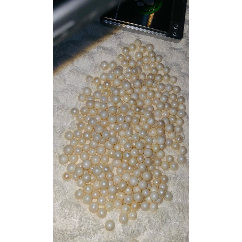 Butiran Mutiara Laut Asli Lombok ( Putih )