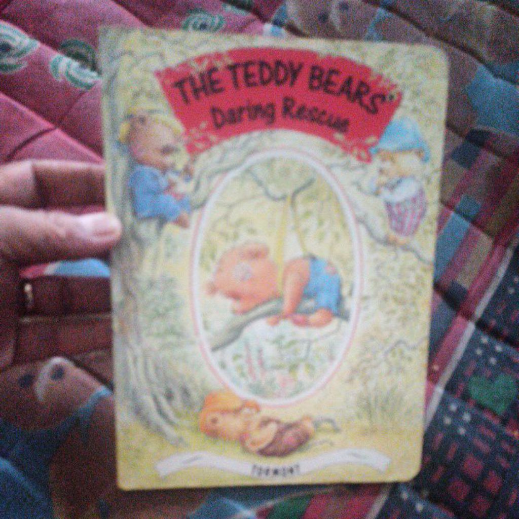 bourdbook the Teddy Bears daring rescue