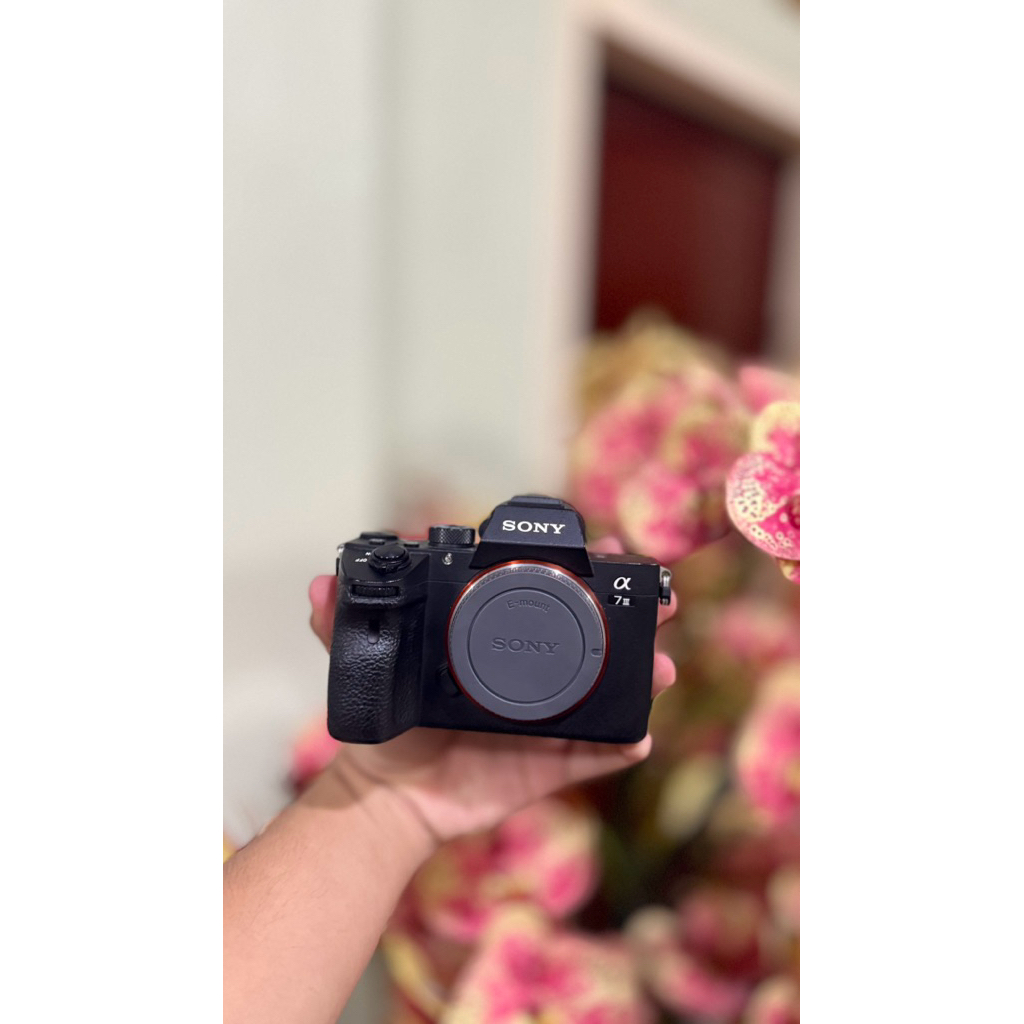 sony a7 mark 3 bukan sony a7 mark 2 bukan sony a7r mark 2