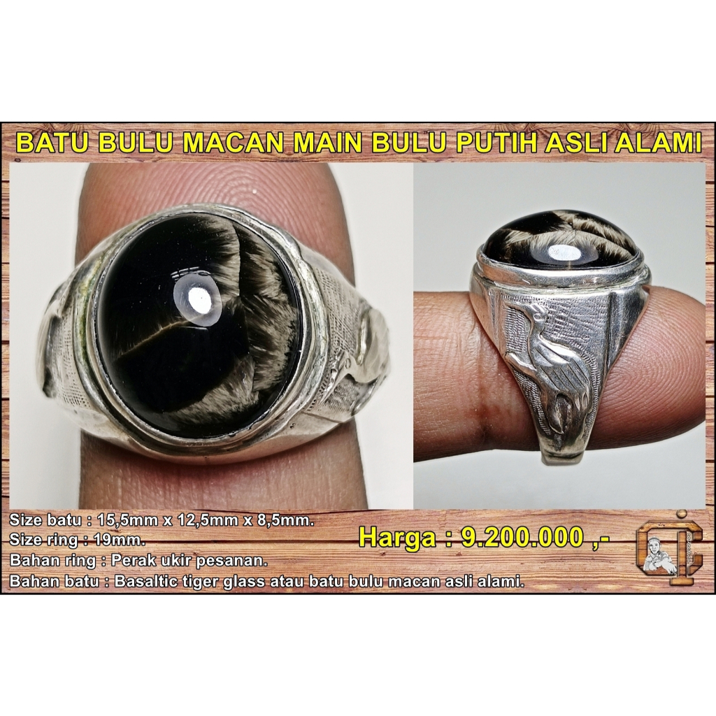 Batu bulu macan main bulu putih asli alami.