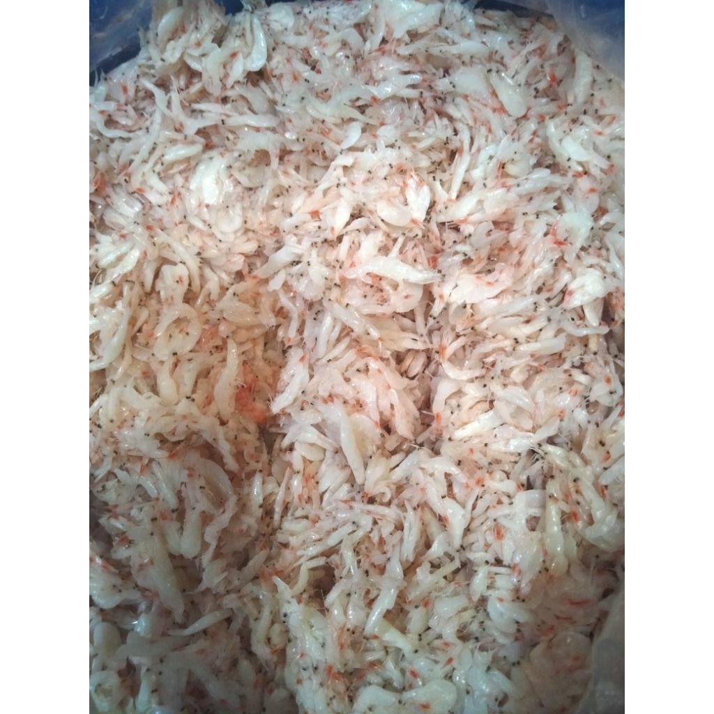 Pedak Udang/Saeujeot-Seajot Udang/Hakoi/Cincalok Udang Singkawang 1kg