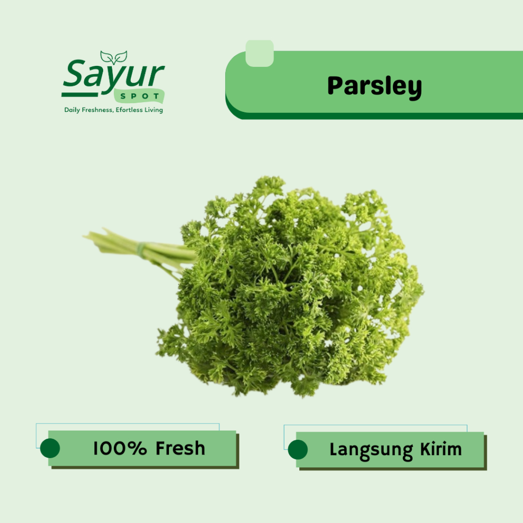 Daun Parsley Segar / Sayur Bekasi | Sayur Spot Bekasi